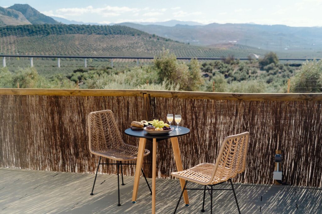 Terraza con vistas a olivar