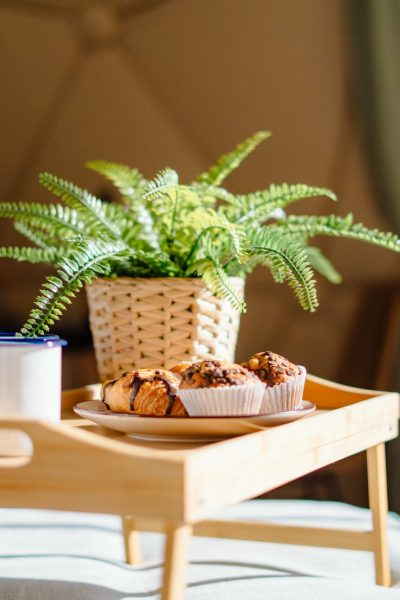 Glamping_101