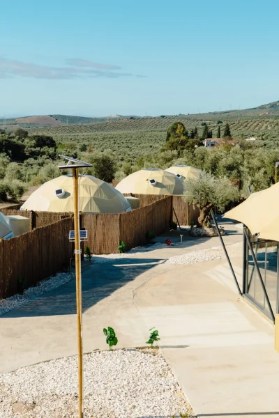 Vista panorámica del complejo glamping con varios domos geodésicos y carpa de zona común rodeados de olivares en Málaga